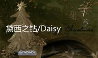 黛西之钻/Daisy Diamond